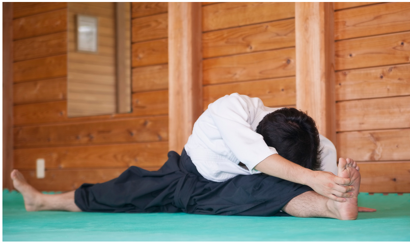 Martial Arts Stretching Equipment